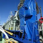 Purse seiner na sprzedaż