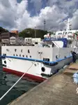 Statek transportowy ładunków sypkich na sprzedaż