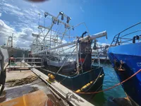 Trawler na sprzedaż