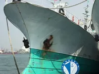 Longliner na sprzedaż