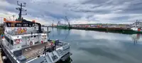 Katamaran na sprzedaż