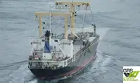 Statek transportowy ładunków sypkich na sprzedaż