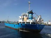 Statek transportowy ładunków sypkich na sprzedaż