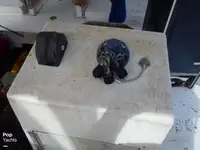 Trawler na sprzedaż