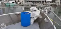 Trawler na sprzedaż