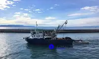 Trawler denny na sprzedaż