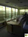 Statek wycieczkowy na sprzedaż