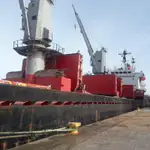 Statek transportowy ładunków sypkich na sprzedaż