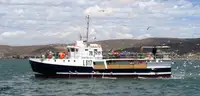 Purse seiner na sprzedaż