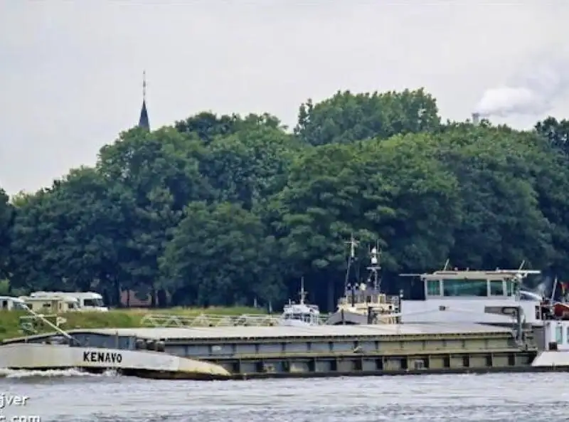 Statek transportowy ładunków sypkich na sprzedaż