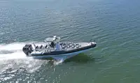 Sztywna ponton na sprzedaż
