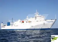 Ro-Ro ship na sprzedaż