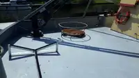 Trawler na sprzedaż