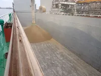General Cargo/Multi-purpose na sprzedaż