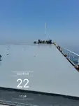 Masowiec na sprzedaż