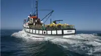 Trawler na sprzedaż