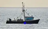Trawler denny na sprzedaż