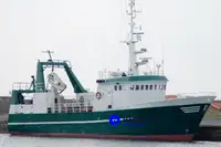 Trawler na sprzedaż