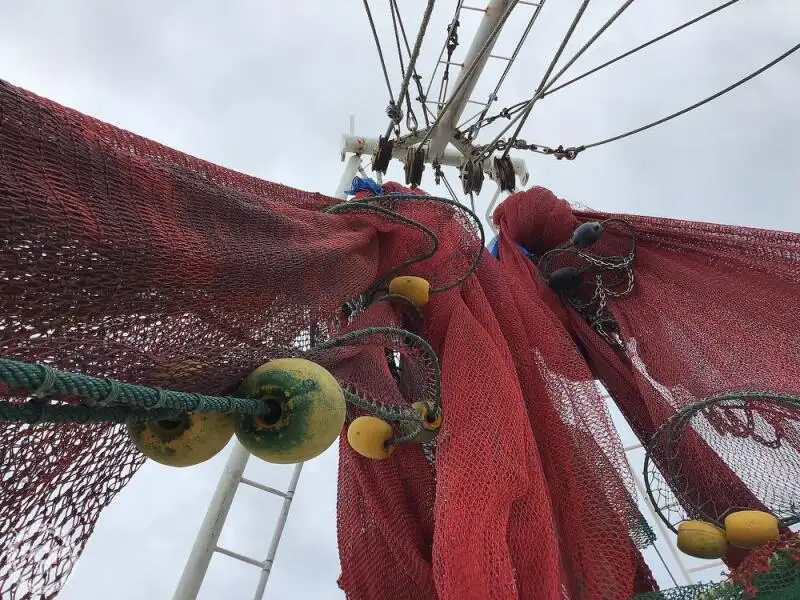 Trawler na sprzedaż