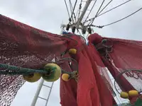 Trawler na sprzedaż