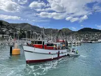 Trawler na sprzedaż
