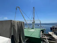 Żalotnik na sprzedaż