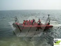 Sztywna ponton na sprzedaż