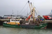 Trawler na sprzedaż