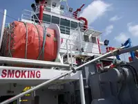 Statek transportowy ładunków sypkich na sprzedaż