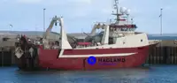 Duży trawler mrożący na sprzedaż