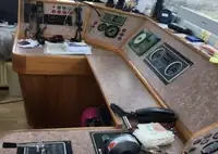 Statek transportowy ładunków sypkich na sprzedaż