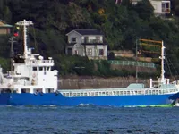 General Cargo/Multi-purpose na sprzedaż