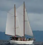 Dredger na sprzedaż