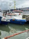 Łódź patrolowa na sprzedaż