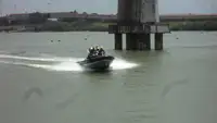 Sztywna ponton na sprzedaż