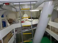 Statek transportowy ładunków sypkich na sprzedaż