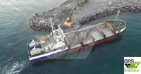 Dredger na sprzedaż