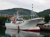 Trawler na sprzedaż
