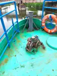 Statki robocze na sprzedaż