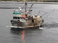 Longliner na sprzedaż