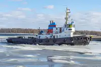 Holownik na sprzedaż