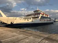 Ro-Ro ship na sprzedaż