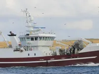 Trawler na sprzedaż