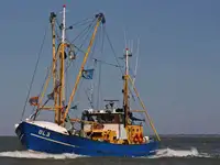 Trawler na sprzedaż