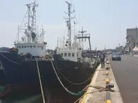 Trawler na sprzedaż