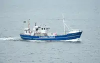 Trawler na sprzedaż