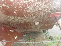 Holownik na sprzedaż