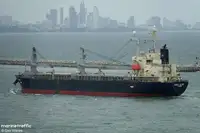 Statek transportowy ładunków sypkich na sprzedaż
