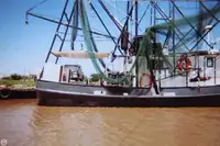 Trawler na sprzedaż
