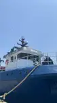 Trawler na sprzedaż